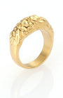 Mount Fuji Ring