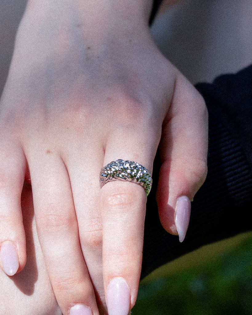 Mount Fuji Ring